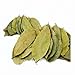 Yerbero - Whole Dried Graviola Soursop Leaves ( 8 oz - 660+ Leaves Per Bag ) Hoja De Guanabana Seca, Crafted By Nature 100% All Natural Delicious Fresh Tea | From Mexico | Premium Wildcrafted Quality.