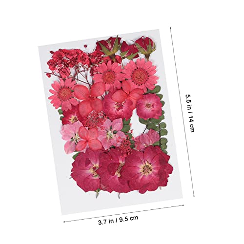 SEWACC 66 Pçs Decoração Folhas Estojo Acessório Planta Casa Encantos Bolsa De Unhas Jóias Agulhas Ac