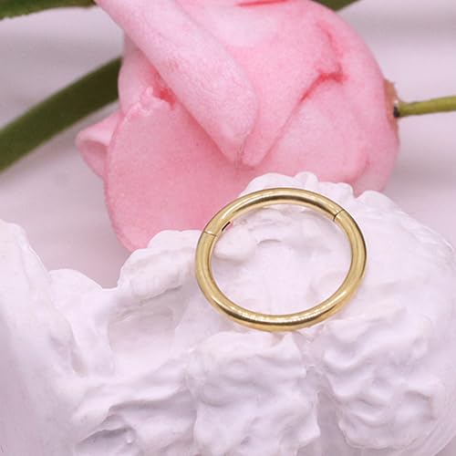 CHARMONLINE 14K Gold Filled Septum Rings Hoop 16G 8mm/10mm 316L Segment Nose Rings for Women Men, Cartilage Clicker Hoop Earrings for Rook, Daith, Tragus, Hypoallergenic. (8mm)