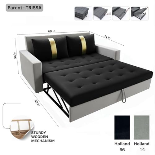 Image of FURNY Tressa 2 Seater Fabric Pull-Out Sofa Cum Bed (Light Grey-Black) Premium Velvet Finish | Durable Comfort | Ideal for Living Room