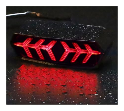 Feu arrière de moto LED multifonction compatible avec CTX 700 N 2013 - 6
