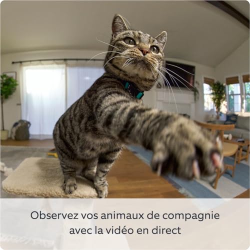 Caméra intérieure orientable Ring Pan Tilt Indoor Camera | Caméra de surveillance des animaux à prise orientable à 360° et inclinable à 169° | Essai Ring Protect gratuit 30 jours - vue 3