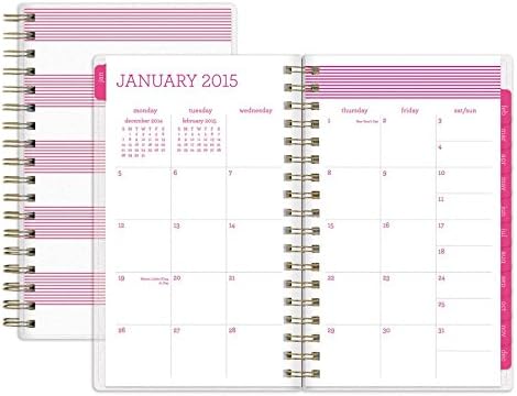 Pink Pinstripe Planner, Small 2015 - Monthly/Weekly Planner