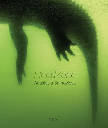 Flood Zone: Floodzone