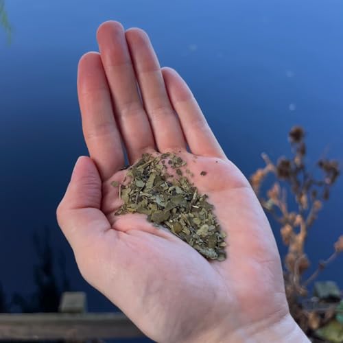 Meta Mate Raw 100 g | Mate Tee BIO Gefriergetrockneter in Demeter-Qualität | Yerba Mate BIO Ohne Bitterstoffe & ohne Rauch | Sanfte Energie | Für Tee, Smoothies & Rohkost | Nachhaltiger Waldanbau