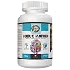 Focus Matrix (1 Bottle) Brain Health Supplement- for Better Focus, Memory, Attention, Concentration, Ginkgo biloba Leaf, Bacopa Monnieri, Focus Pill