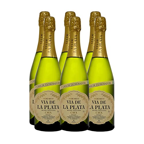 CAJA 6 UN. CAVA SEMISECO COUPAGE VIA DE LA PLATA