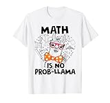 NO PROBLEM