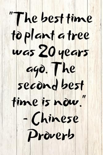The best time to plant a tree was 20 years ago. The second best time is now. Chinese Proverb: Quotes...