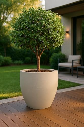 VASO CONE DECORATIVO LUXO MODELO GRAFIATO PEQUENO 40X50 VOLUME 50...