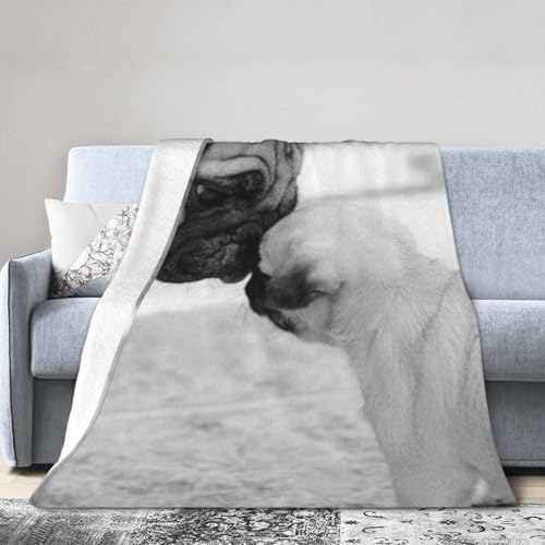   3 uPbg ѕz ѕz tl ӂӂ _炩 ΍ Ódh~ R hL g  lGʗp 76cm×102cm