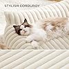 Bedsure Cute Cat Couch for Pets - Fluffy Cat beds with Premium Soft Corduroy Fleece, Fuzzy Cats beds for Indoor Cats with Removable Washable Cover, Supportive Pet Sofa, 24inch, Cream #3