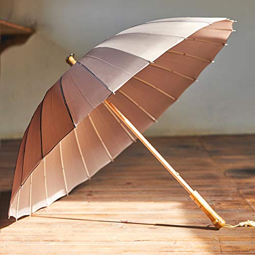 Kemore P fB[X Y aP ԎP JP amP y ϕ 24{ OXt@Co[ Jp ؐ茳  [|[`t