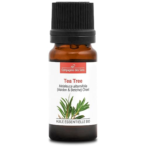 ARBOL DE TÉ - 10 mL - Aceite Esencial Orgánico de Calidad Superior - 100% Puro, Natural, Quimiotipado y Certificado AB