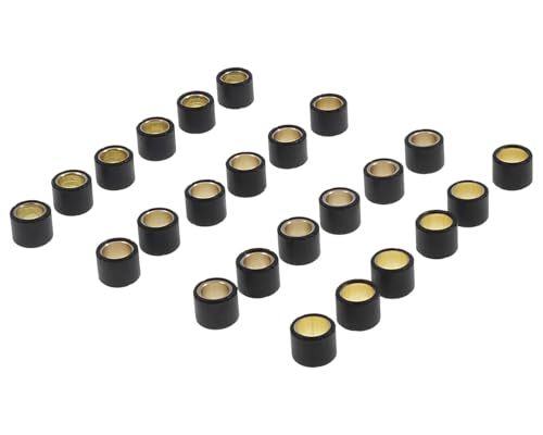 2EXTREME 15x12mm 4g, 4,5g, 5g, 5,5g Variomatik Gewichte Abstimmset kompatibel für Yamaha Neos, Aerox, Jog 50