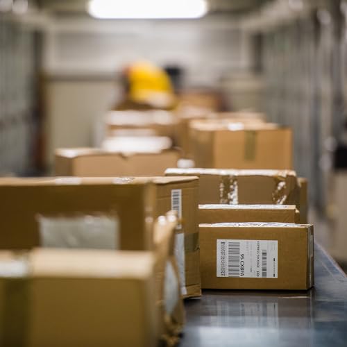 Can customs tech really simplify the import-export process? Podcast Por capa