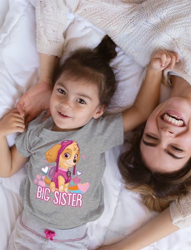 Tstars Official Paw Patrol Skye Big Sister Shirt Toddler Kids T-Shirt2