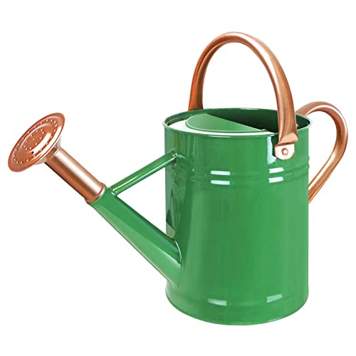 Megawodar Metal Watering Can with Removable Spout, Galvanized Steel Plants