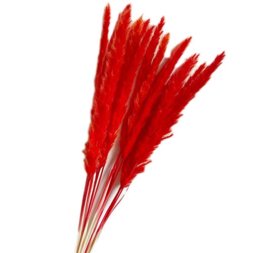 YIWOYI 15 piezas de hierba seca natural, flores artificiales en florero, corona de puerta para decoración en el hogar y la cocina (rojo) Cover