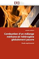 Combustion D''Un Ma(c)Lange Ma(c)Thane-Air Ha(c)Ta(c)Roga]ne Globalement Pauvre 6131558159 Book Cover