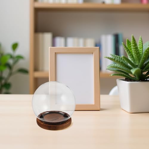Cloche de vidrio para decoración del hogar y centros de mesa de boda 7