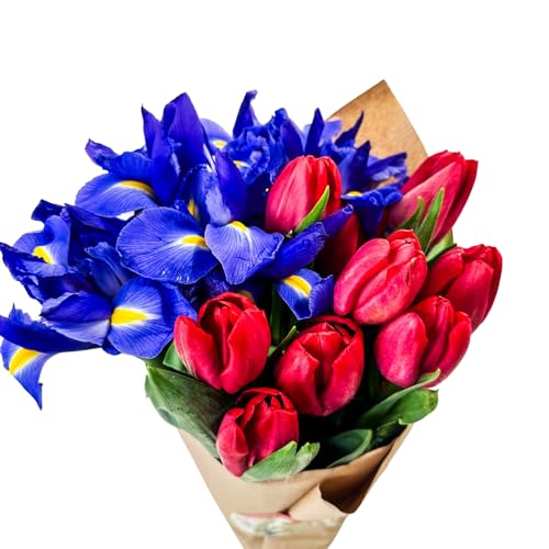 Stargazer Barn - Be Mine - Fresh Tulip & Iris Bouquet - Valentine's Day, Birthday, Love