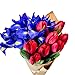 Stargazer Barn - Petite Bouquet of Tulips & Iris with Vase - Farm Fresh