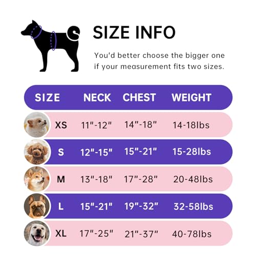 IVY&LANE No Pull Dog Harness for Medium Dogs, Dog Vest Harness with Leash, Safety Belt and Storage Strap, Fully Adjustable Harness, 360° Reflective Strip, Soft Handle (Purple, M) - Image 3