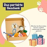BALLONTE Welpenspielzeug Set 7-teilig für kleine Hunde – Kau- & Quietschspielzeug, Robustes Seilspielzeug, Beschäftigung & Zahnpflege für Welpen – Ungiftige Materialien, Spielzeug gegen Langeweile