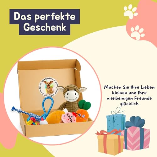 BALLONTE Welpenspielzeug Set 7-teilig für kleine Hunde – Kau- & Quietschspielzeug, Robustes Seilspielzeug, Beschäftigung & Zahnpflege für Welpen – Ungiftige Materialien, Spielzeug gegen Langeweile