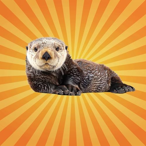 Couverture de La loutre de mer bricole... en flottant !
