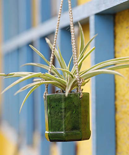 Kavi The Poetry-Art ProjectHanging Planter (Multicolour)