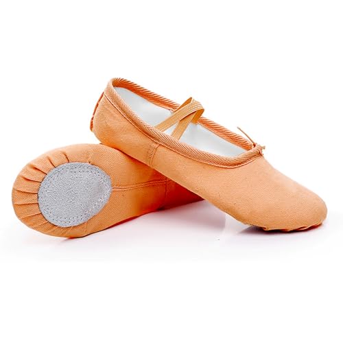 Women's Ballet Shoes Portable Adult Dance Shoes Stretch Canvas Flat Dance Practice Shoe for Women2