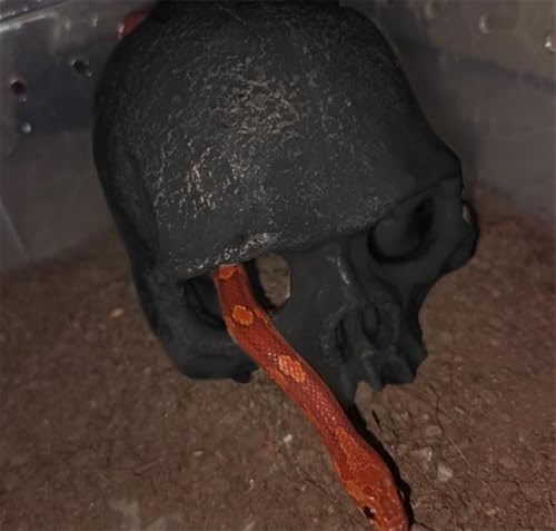 Image of Aquarium Terrarium Skull Decor, Reptile Hide House Shelter Cave for Geckos Spider Lizard Snake, Fish Tank Hide Cave House Hideouts Stones for Small Fish Shrimp Betta Crab Guppy Cichlids (Black)