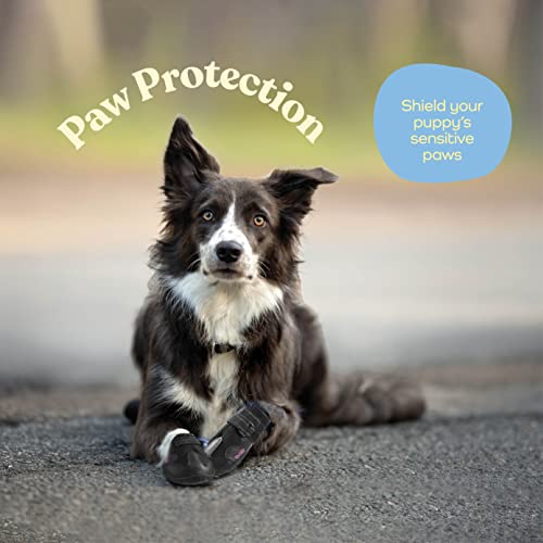 Waterproof Dog Shoes - Stylish Designed Shoes for Dogs - Dog Boots with Non-Slip Rubber Bottom Protects Paw from Hot or Cold Pavement, Dog Booties with Reflective Straps for Dogs Safety, Puppy Shoes.