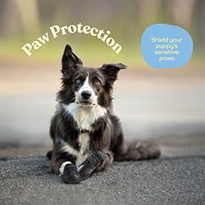 Waterproof Dog Shoes - Stylish Designed Shoes for Dogs - Dog Boots with Non-Slip Rubber Bottom Protects Paw from Hot or Cold Pavement, Dog Booties with Reflective Straps for Dogs Safety, Puppy Shoes. Waterproof Dog Shoes Stylish Designed Shoes for Dogs Dog Boots with Non Slip Rubber Bottom Protects Paw from Hot or Cold Pavement Dog Booties with Reflective Straps for Dogs Safety Puppy Shoes