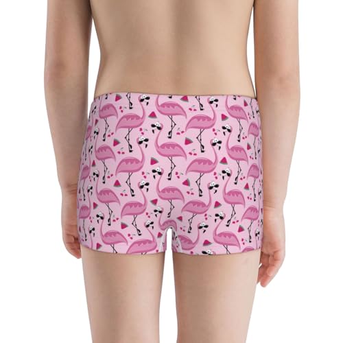 Boys' Cotton Boxer Brief Soft Underwear-Cute Watermelon Flamingo3