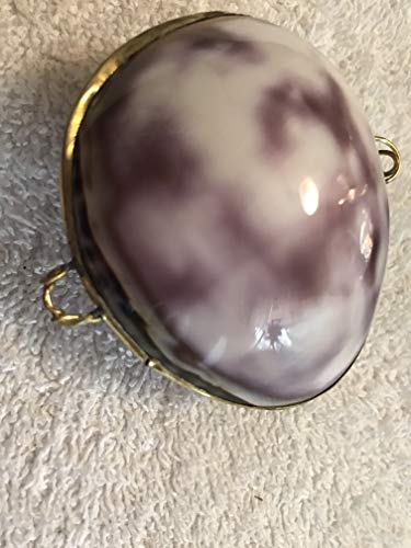 Cooking Food Thermometer Digital Instant Read Meat Thermometer Grill Thermometer BBQ Thermometer High Accuracy Kitchen Thermometer for Oil Water Milk Tea Beer