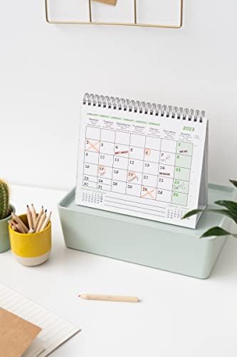 Official Asterix Calendar 2023 - Desktop Calendar 2023 - 7 x 8 inches / 18 x 20 cm - Asterix Desk Calendar 2023 - 12 Month 2023 Planner - Asterix Gifts
