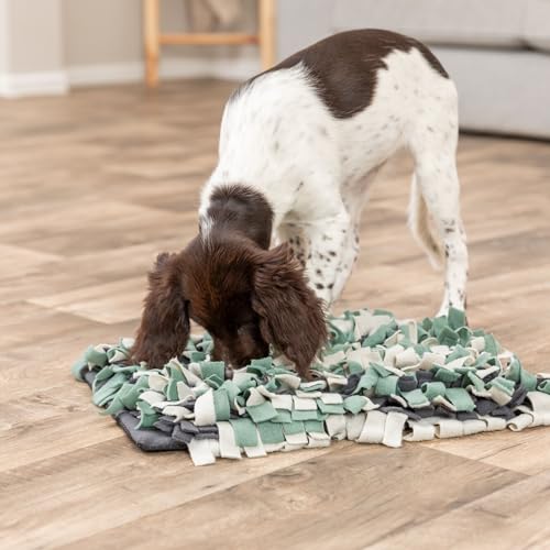 Image of Trixie Snuffle Mat for Dogs, Level 1 Interactive Dog Toys, Slow Feeder Puzzle, Foraging Training