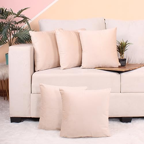 STITCHNEST Both Side Holland Velvet Cushion Cover Set of 5 (16 x 16 Inches)