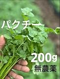 茨城県産 農薬 栽培期間中不使用 根無しパクチー 200g