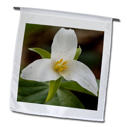 3dRose fl_93985_1 Oregon Keizer Western Trillium Flower US38 Rbr0295 Bandeira de jardim Rick a Brown