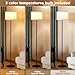 Ambimall Modern Standing Floor Lamp for Living Room & Bedroom with 3 Color Temperatures Bulb & Pull Chain Switch, 60