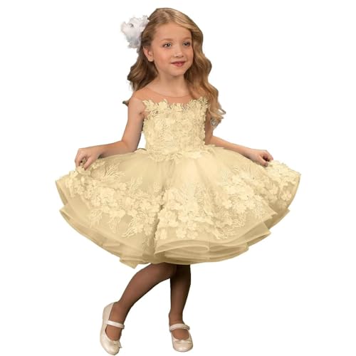 Flower Girl Dress Short Tulle Pageant Dresses for Girls 3D Flower Lace Appliques First Communion Dress for Girls Party Ball Gown Champagne Flower Girl Dress, 7