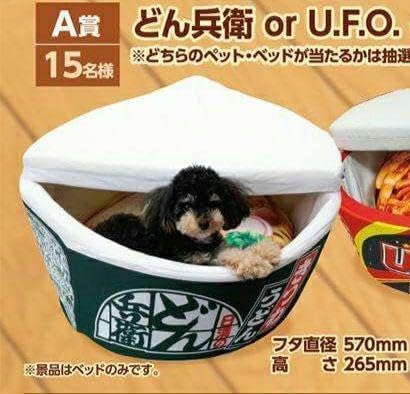 どん兵衛　ペットベッド どん兵衛に本物のきつねが！？ どーんと、どでかい「どんぶり型ペット