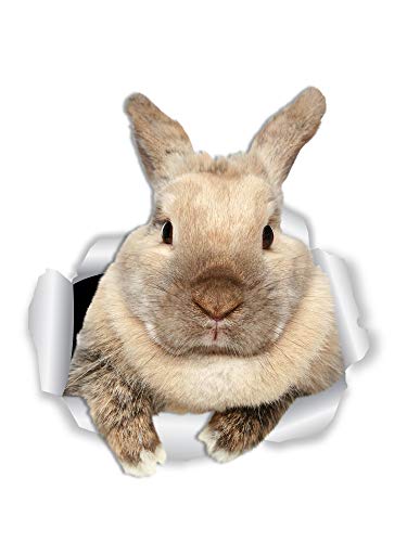 cosatto bunny stroller