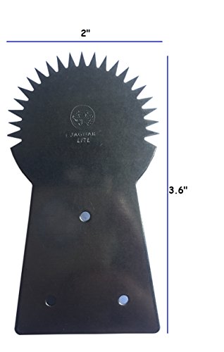 Ni_Orn Coconut Grater Scraper With Screw Thai Teeth Tool Stainless Steel Grater Kitchen New #TOP1