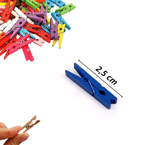 Kit C/ 90 Mini Pregadores Prendedores Coloridos De Madeira Fotos Drinks 2,5cm