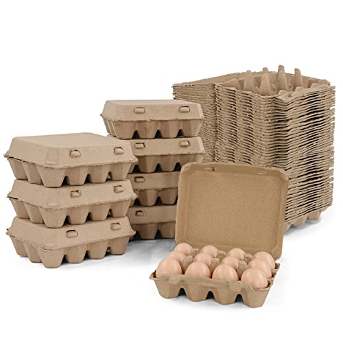 Are Egg Cartons Recyclable? How to Dispose